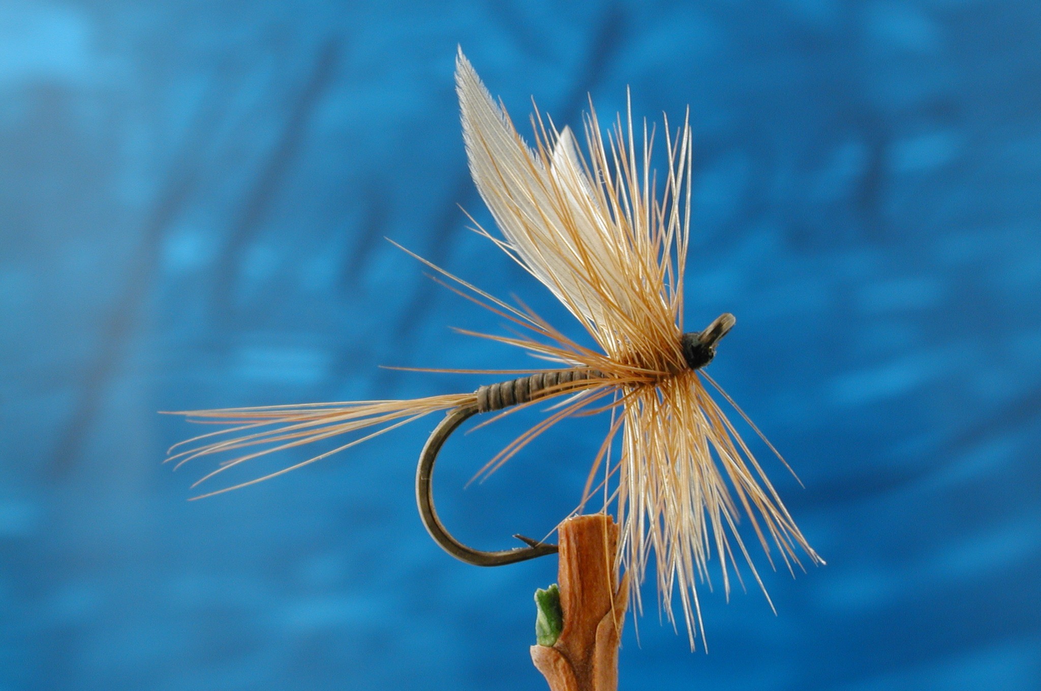Shelvey Ginger Quill Fly Fishing Flies with Fish4Flies Worldwide